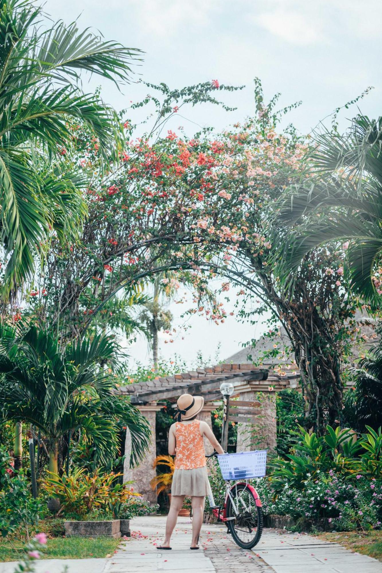 Island Lodge La Digue