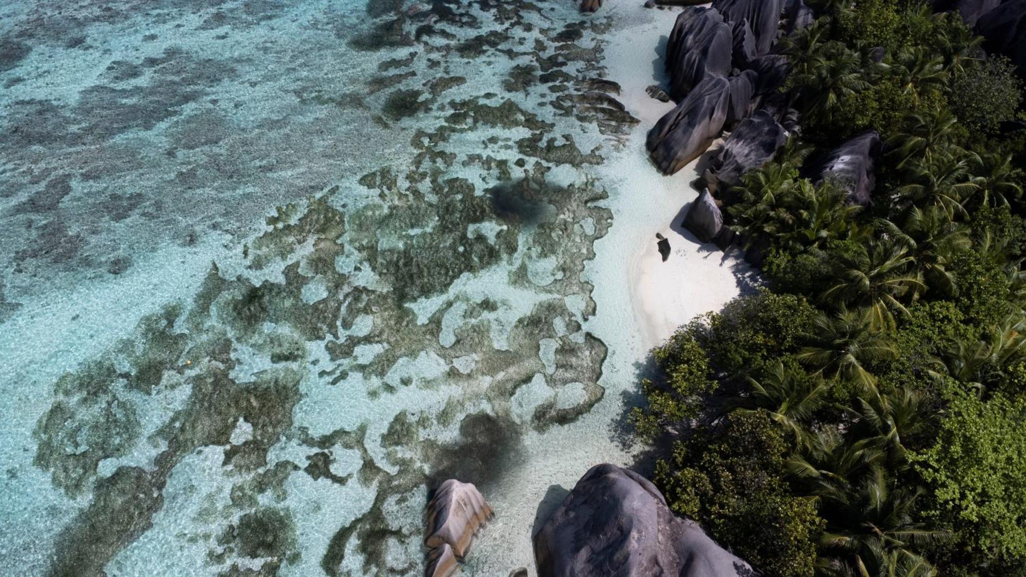 Island *
