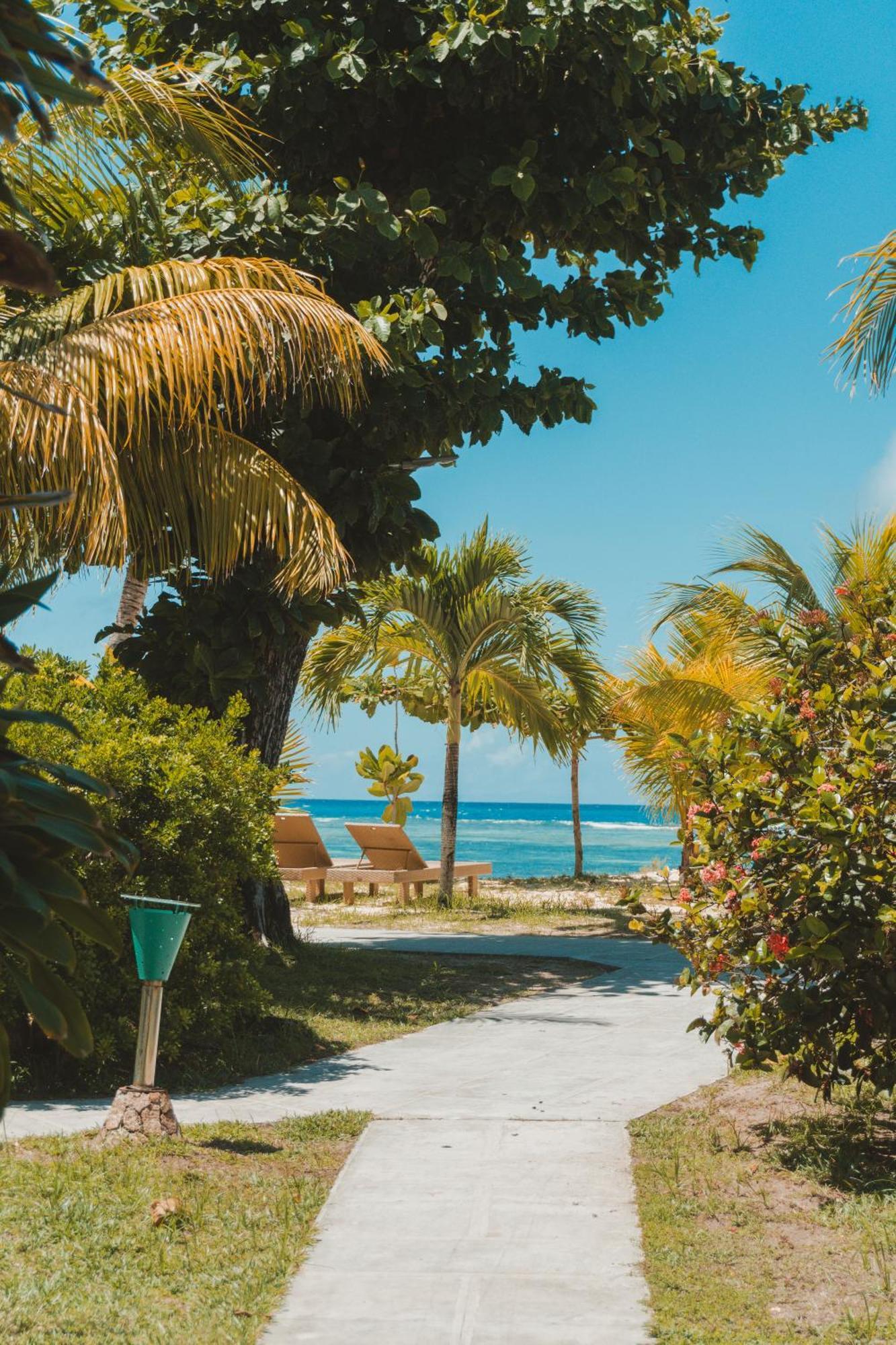 Island Cabană